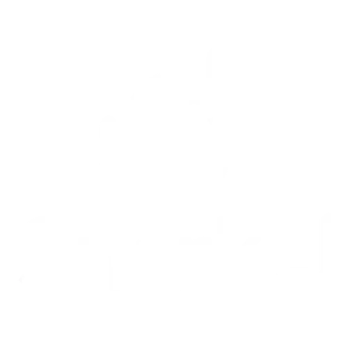 Snorkel AI — Naked Hats corporate hat bar client